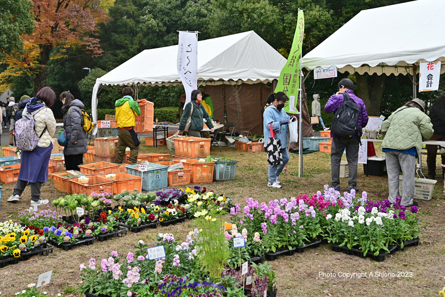 HitachiCL_KokuVegi231126s