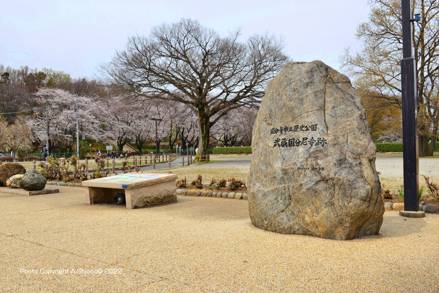 KokubunjiCityHistoryPark_KNA130323