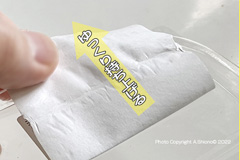 LabelPeelingSlowlyB_M