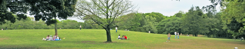 LargeSquareFMP250420Nw