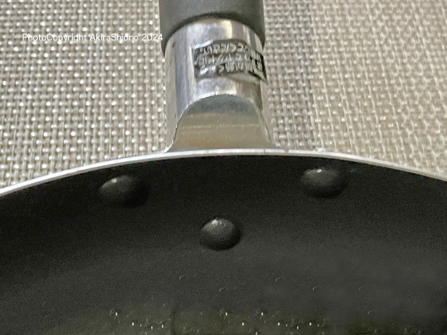 FLowCosrFlyingPanInsede240319