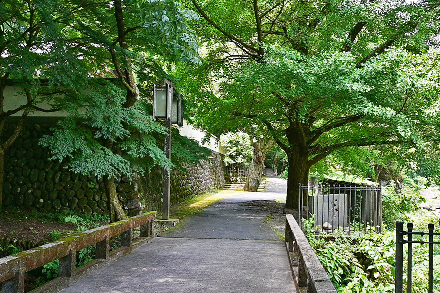 MVRT_MusiumWall230723