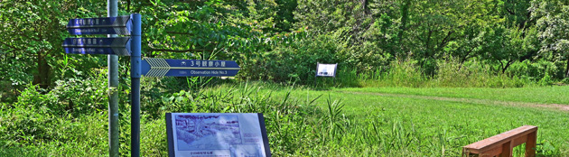 NaturalEcologicalGardenTKYP240825