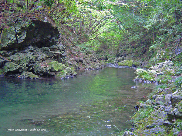 outdoor/ootaba040912L