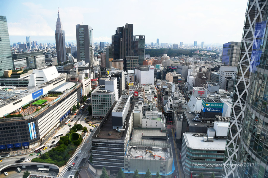 Shinjuku_WG__OdakyuBrd140407