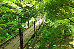 TokeB_Us_Side180701M