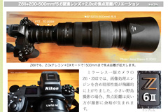 Z6IIで野鳥撮影Ï