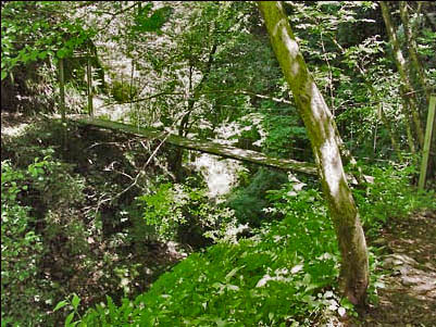 ����������Γn��Ȃ�!