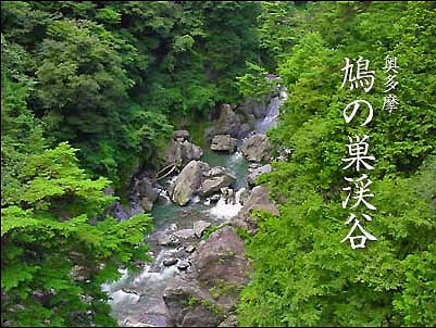 ���̑��k�J