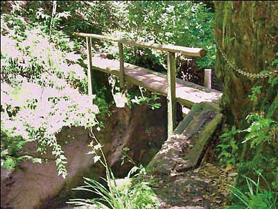 �j���݂̒苴